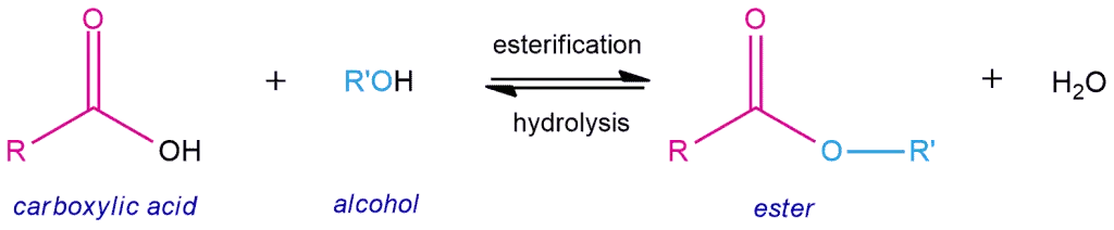 Reaksi Esterifikasi